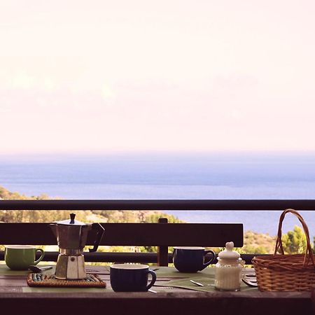 Villa Mediterranea สโกเปลโล ภายนอก รูปภาพ